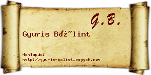 Gyuris Bálint névjegykártya